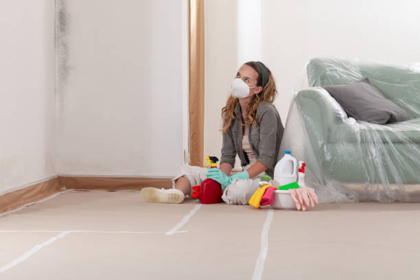 Reliable Mold Remediation contractor in East Hanover, NJ by Cheap Mold Removal